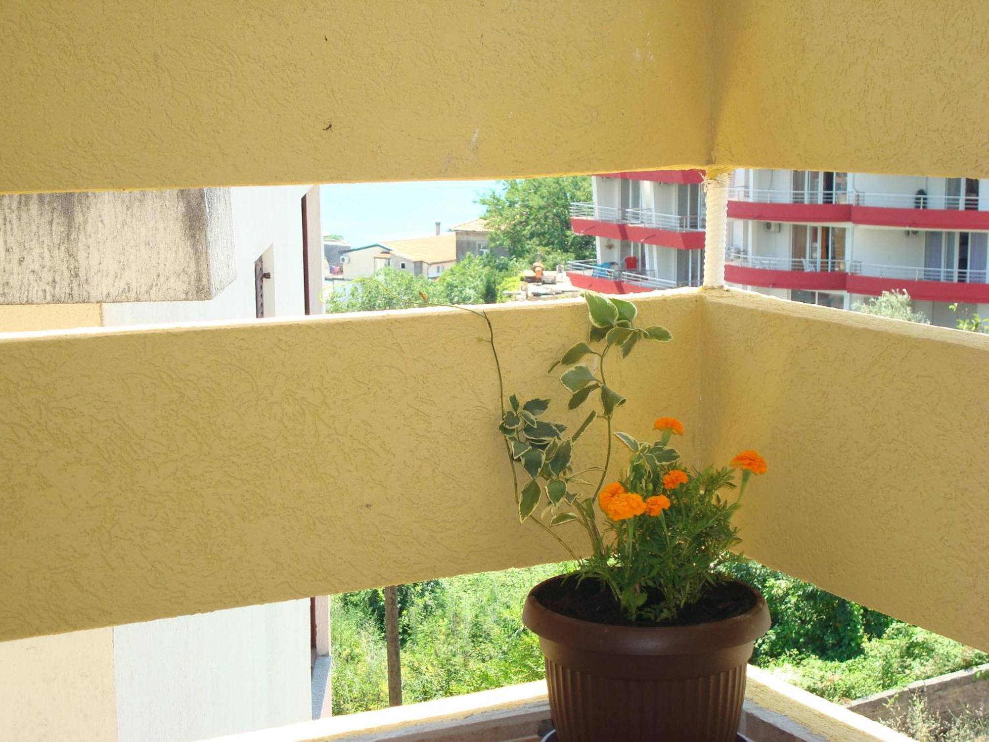 Apartments Cejovic Ulcinj Bagian luar foto